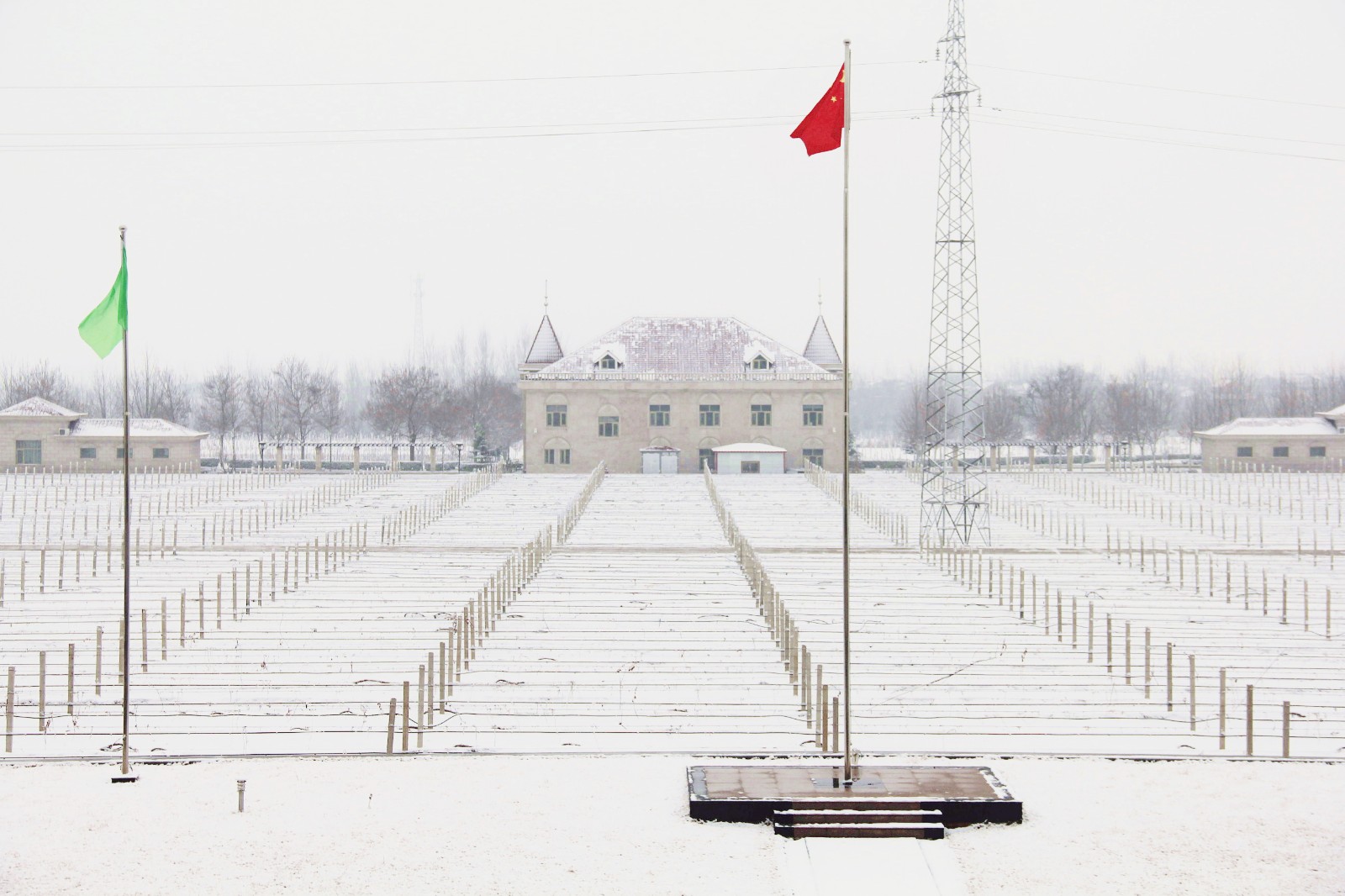 15507986721429.jpg 1.jpg