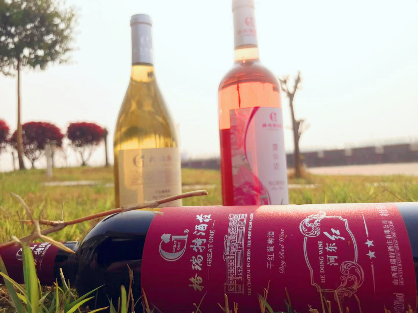 春天從這里走來(lái)