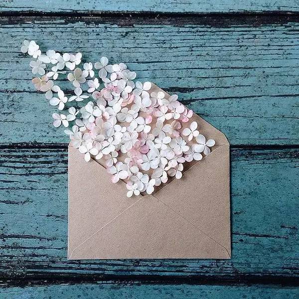 您有封信，請(qǐng)查收