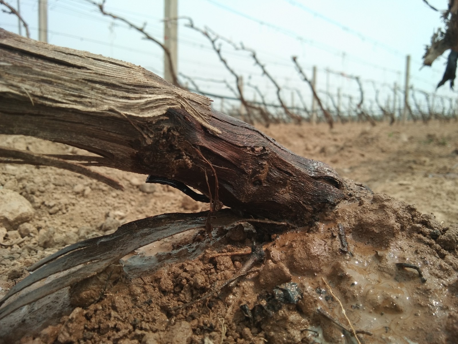 15710156636650.jpg 微信圖片_20190404154735.jpg