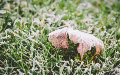 霜降｜ 秋將逝，冬將至