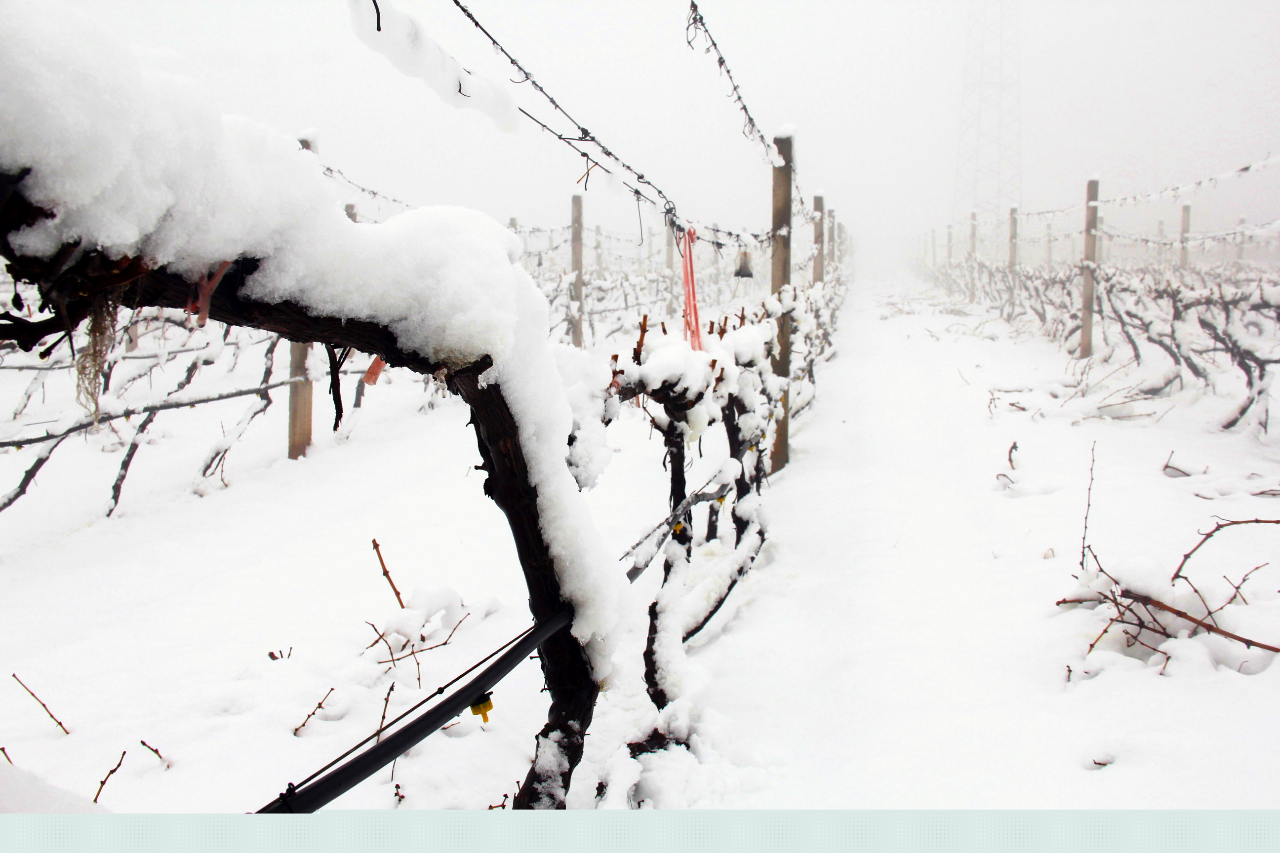 瑞雪兆豐年 ▎時光正好，歲月極美，何必覓遠(yuǎn)方