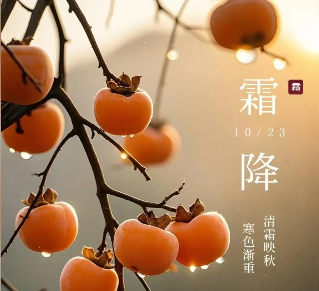 霜降||人間至此秋色盡，草木搖落露為霜