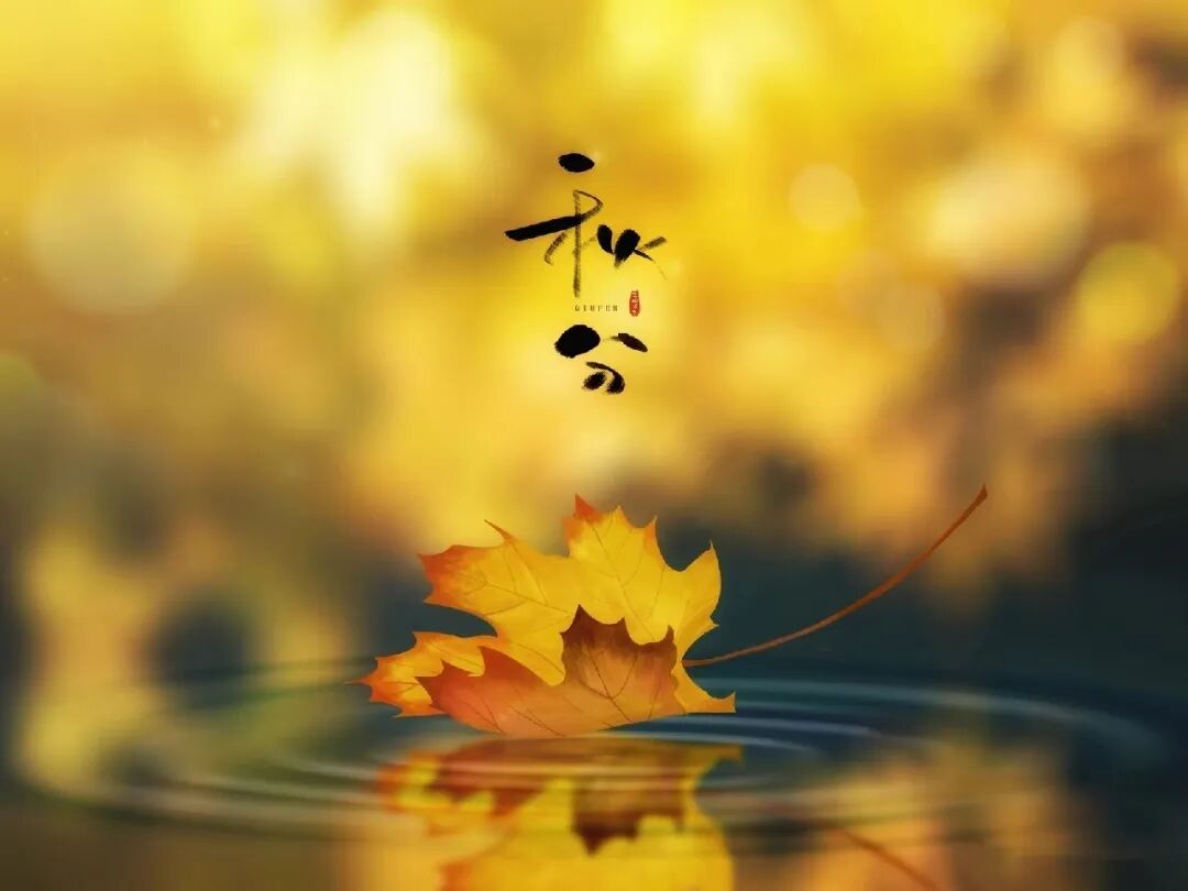 秋分，在格瑞特莊園與時(shí)光對(duì)飲